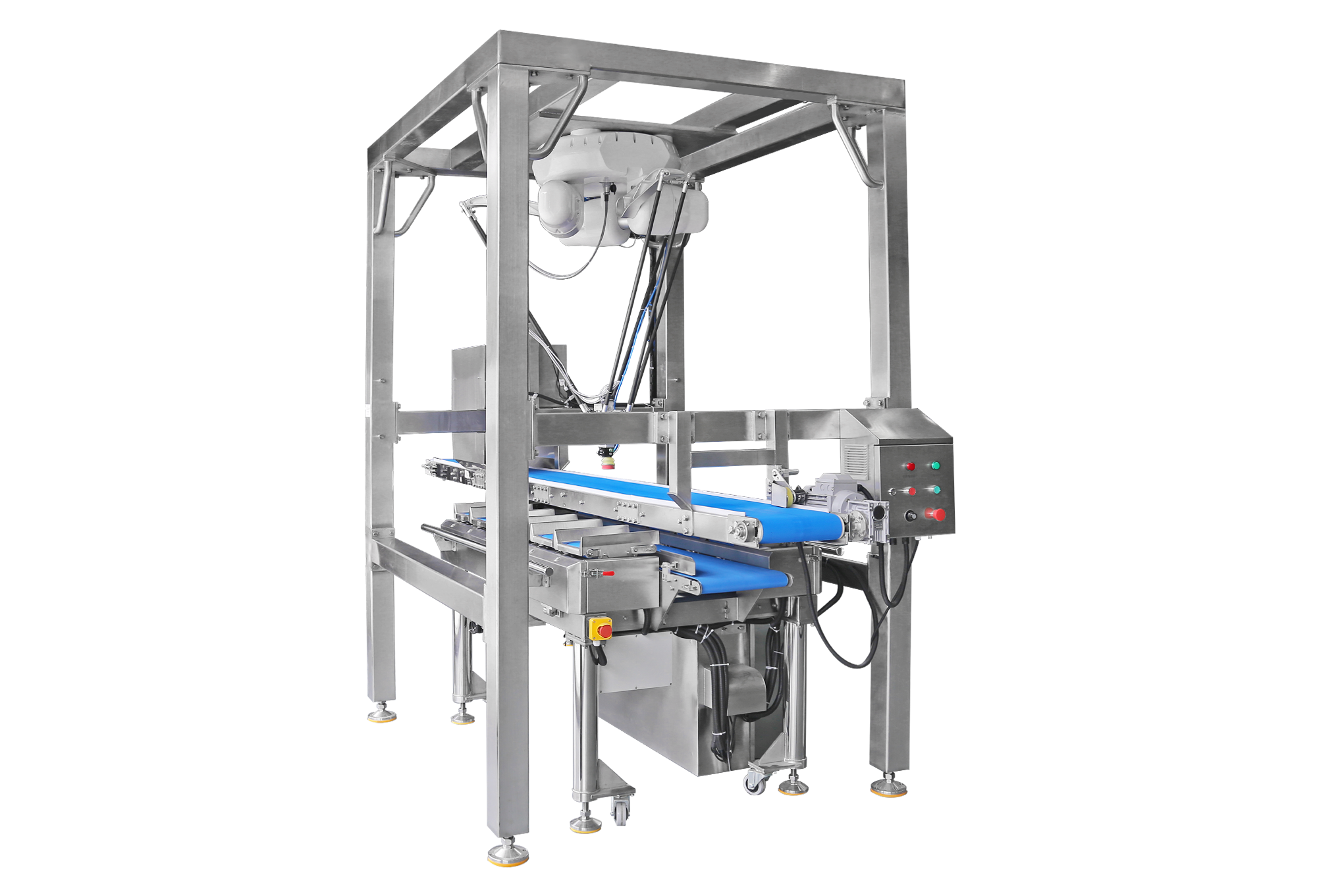 Delta Robot Automatic Loading & Weighing System
